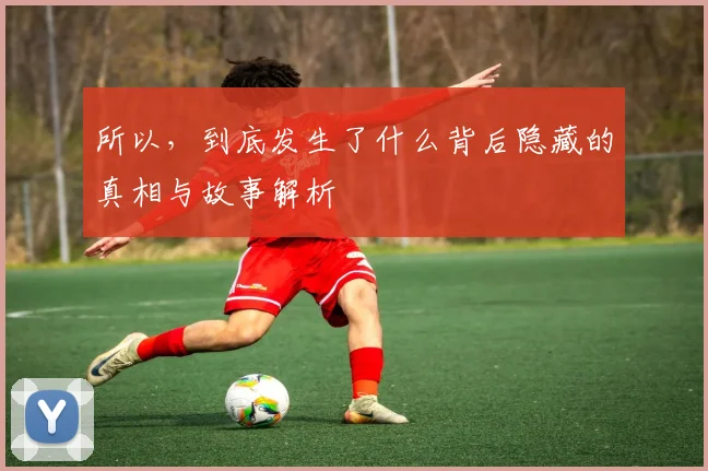 所以，到底发生了什么背后隐藏的真相与故事解析