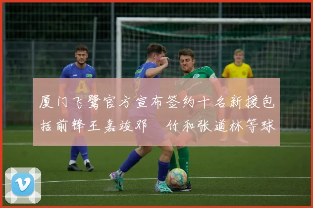厦门飞鹭官方宣布签约十名新援包括前锋王嘉竣邓棽竹和张道林等球员